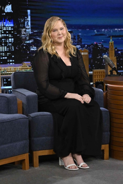 Amy Schumer hit back at critics over comments about her "puffier" face on Instagram. See what she said here.