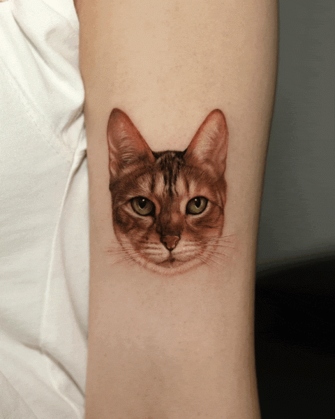 Interview with Dokhwa – Master of Pet Tattoos and Portrait