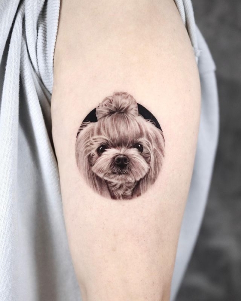 Interview with Yeono – Master of Pet Tattoos