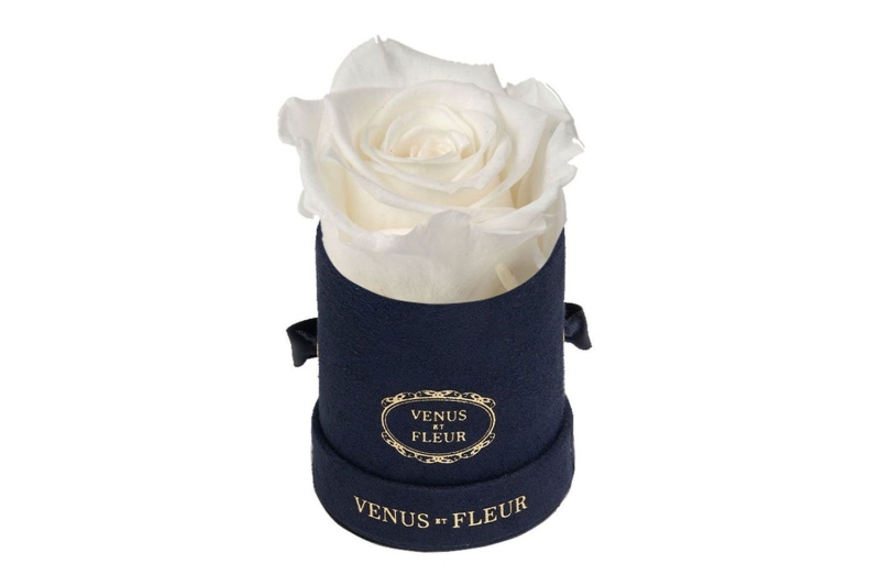 An InStyle editor gifted her mom and grandma Venus et Fleur’s Eternity Roses, the perfect Mother’s Day gift. Shop them from Venus et Fleur and Nordstrom.