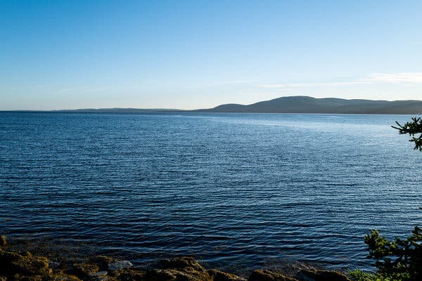 On an Island in Maine, a Meal Worth Traveling For