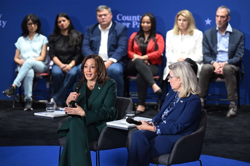 Kamala Harris wore a pantsuit in the perfect fall color for a day of engagements in Michigan, Pennsylvania, and Wisconsin. See her confident ensemble, here.