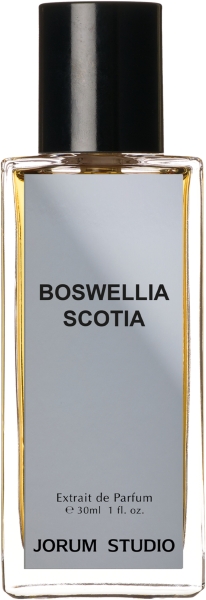 The Essence of Scottish Autumn Days: The Limited Edition “Boswellia Scotia” Extrait de Parfum by Jorum Studio