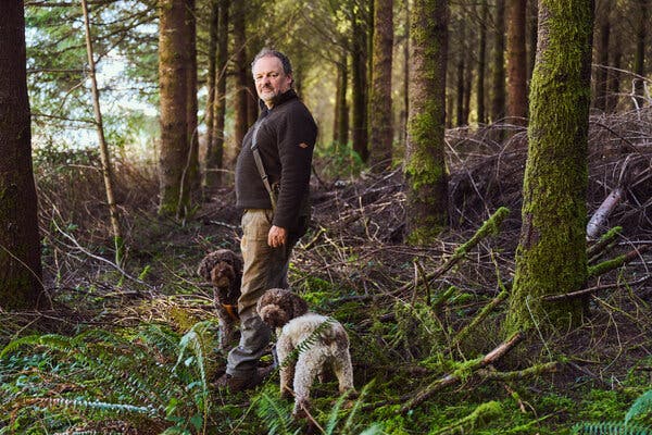 The Rush Is on for Oregon Truffles